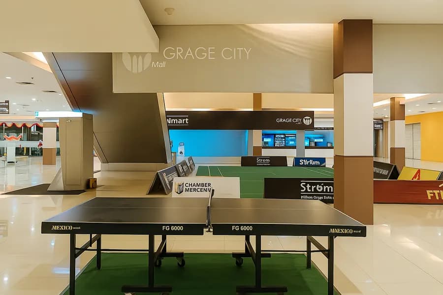 Pingpong